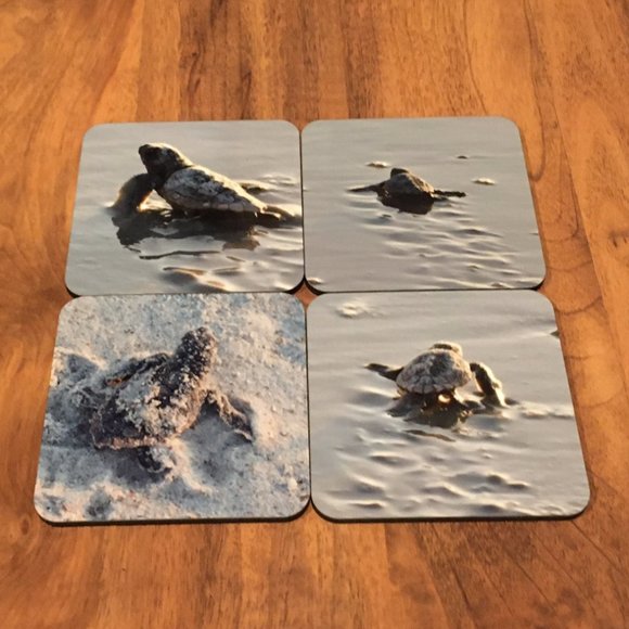 Other - Turtle Coasters - Cork Bottom - 2 Sets of 4 (8 total) - NWOT